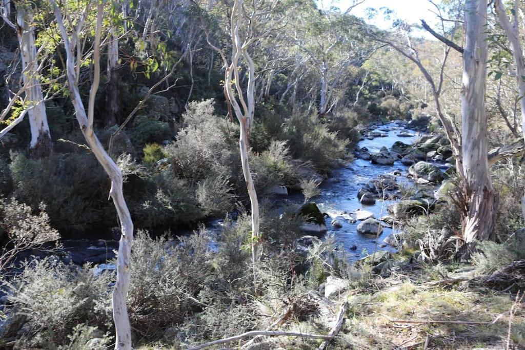 Hotel Big Yard Escapes Jindabyne Exterior foto