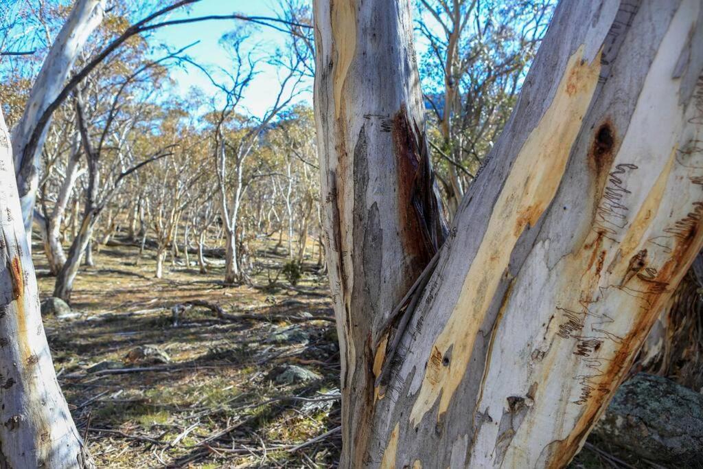 Hotel Big Yard Escapes Jindabyne Exterior foto