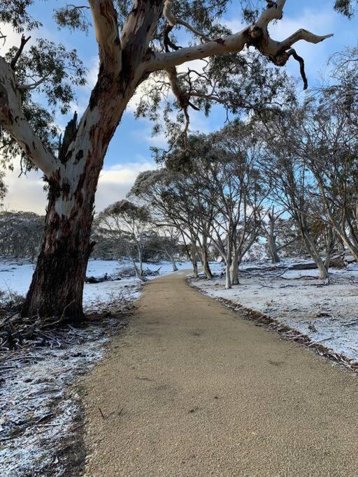 Hotel Big Yard Escapes Jindabyne Exterior foto